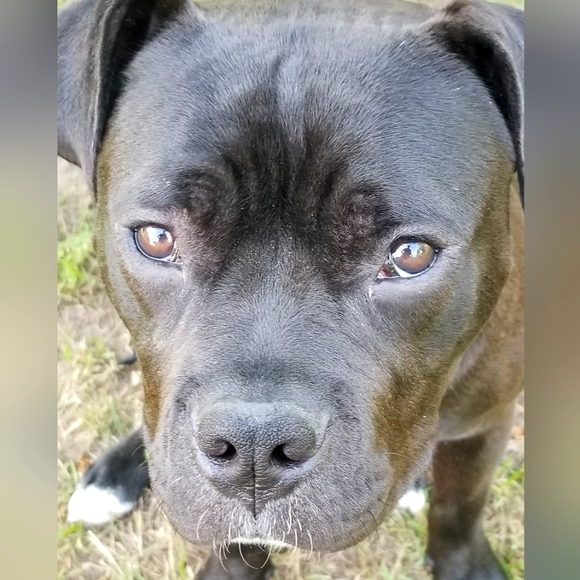 Meet your Posher Melissa and Matilda - Picture 3 of 3